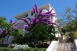 Apartments Marina for rent on the Island of Pag, Lun.